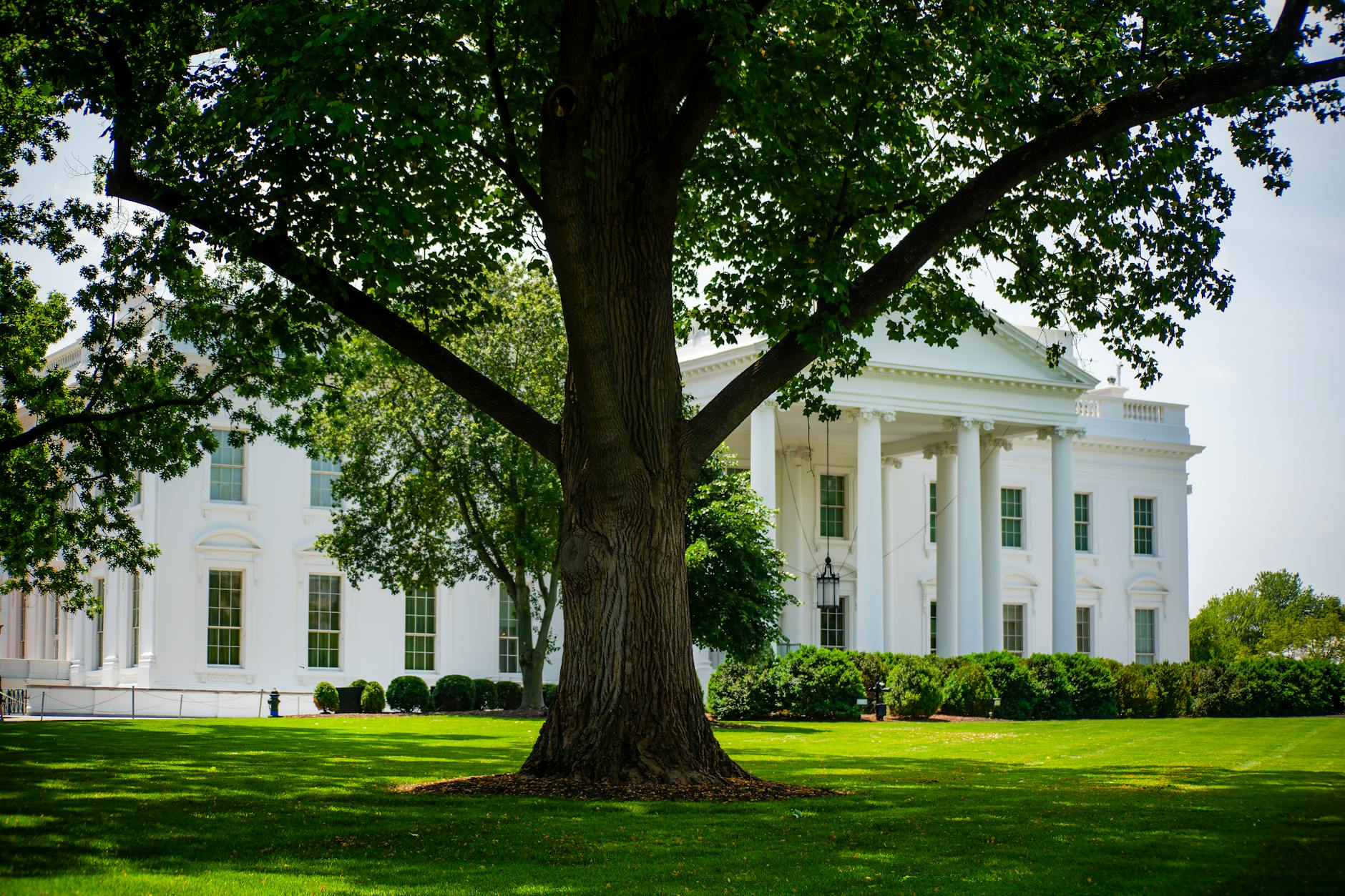 Image related to Trump Presidential Library Renderings: Statues & Air Force One