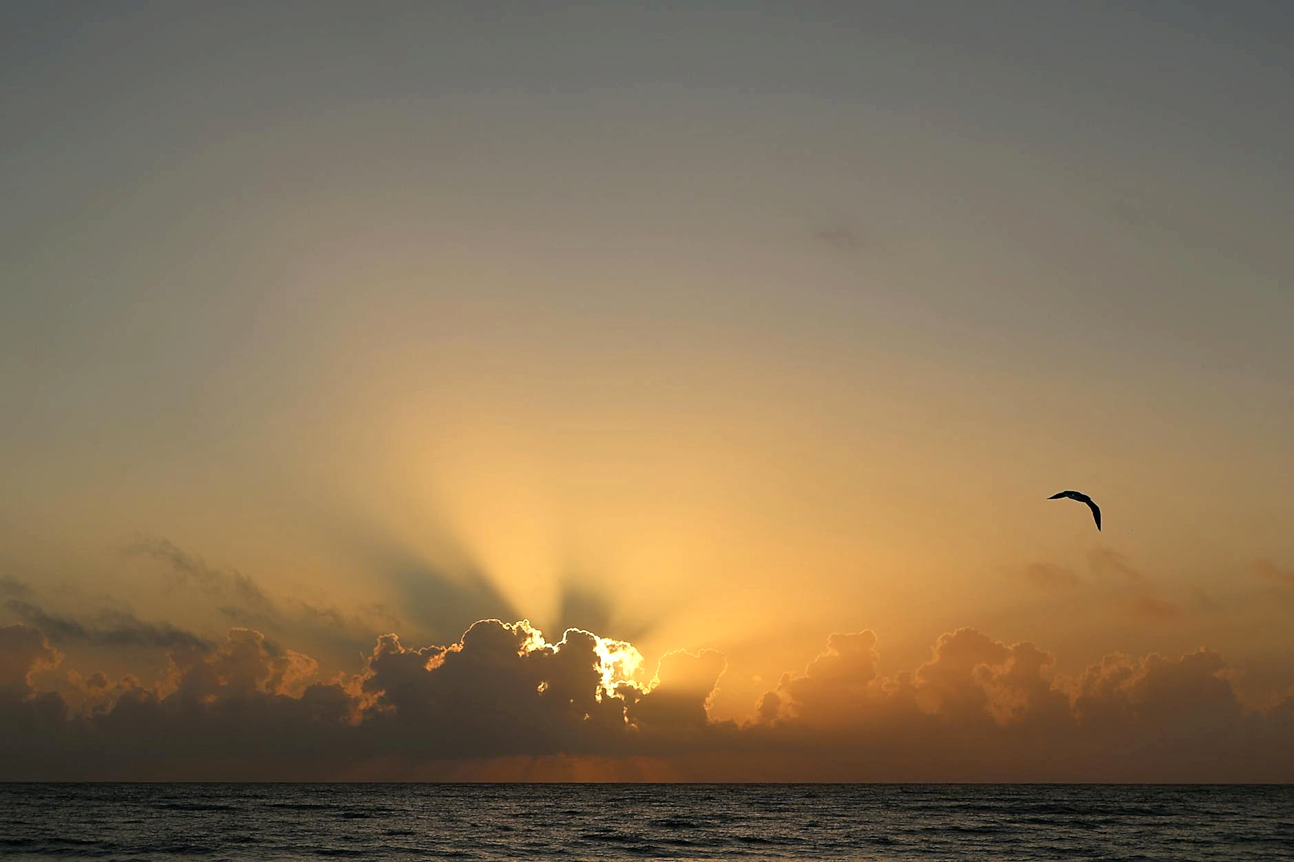 Homeless Man Convicted in Stabbing Death of Palm Beach Teen